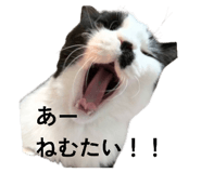 873168064