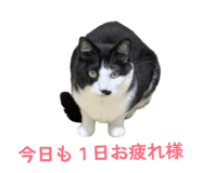 873168065