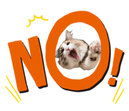 873192560