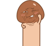 873196925