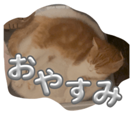 873201319