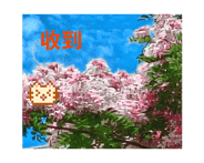 873227366