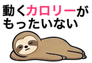 873269005