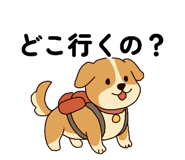 873305993