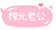 873310520