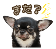 873367280