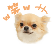 873370678