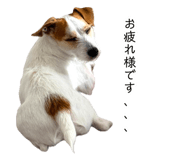873377849