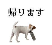 873377853