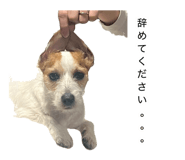 873377860