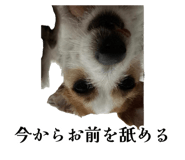 873377861