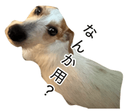 873377864