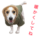 873377866