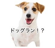 873377868