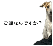 873377870
