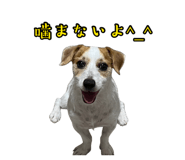 873377872