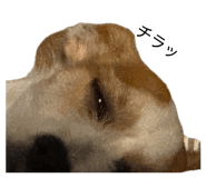 873377873