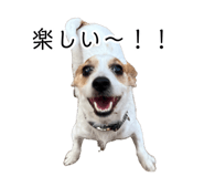 873377874