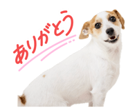 873377879