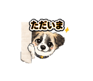 873381703