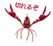 873412969