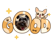 873455716