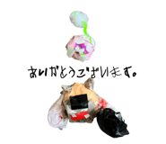873460052