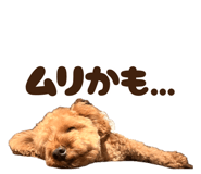 873462604