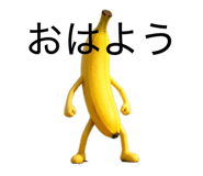873464331