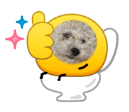 873483509