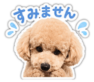 873507521