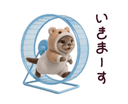 873520717