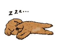 873552801