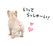 873555701