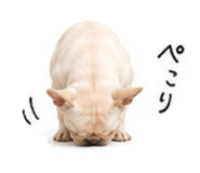 873555706