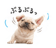 873555714
