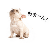 873555715