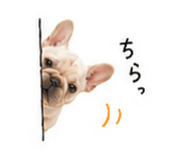 873555721