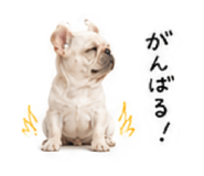 873555732