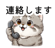 873555966