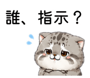 873555980