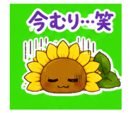 873556127