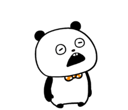 87355647