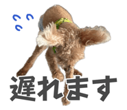 873563518