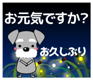 873577129