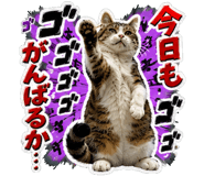 873585015