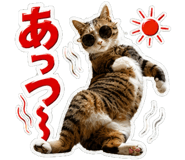 873585021