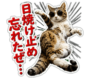 873585023