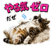 873585031