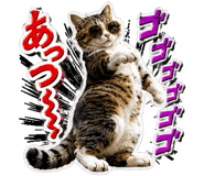 873585033
